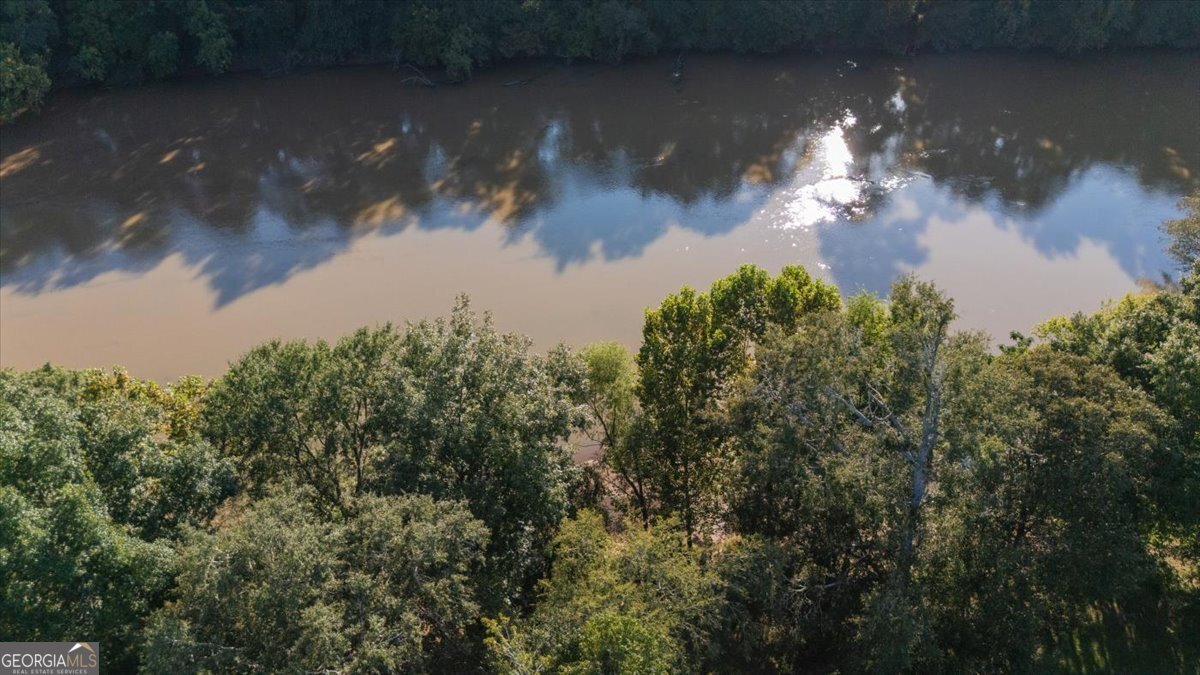 176 Tumbling Shoals Drive Gray - Photo 49