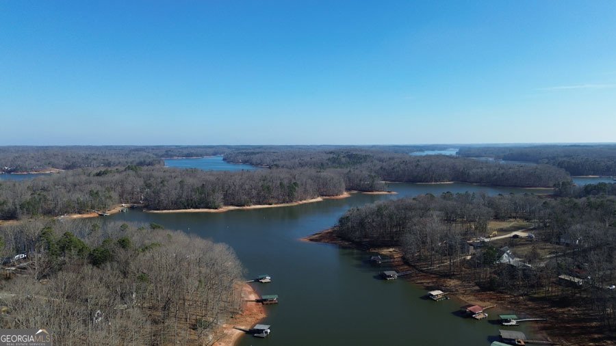 574 Knottywood Drive Lavonia - Photo 10