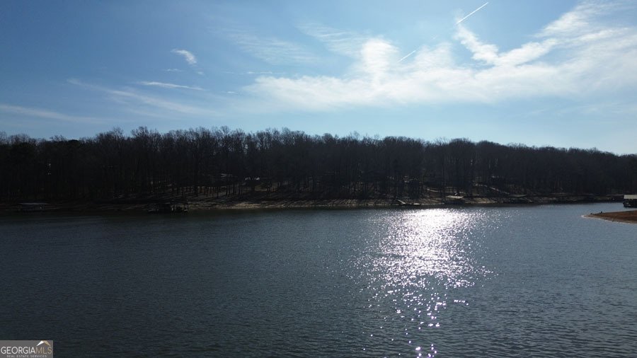 574 Knottywood Drive Lavonia - Photo 35