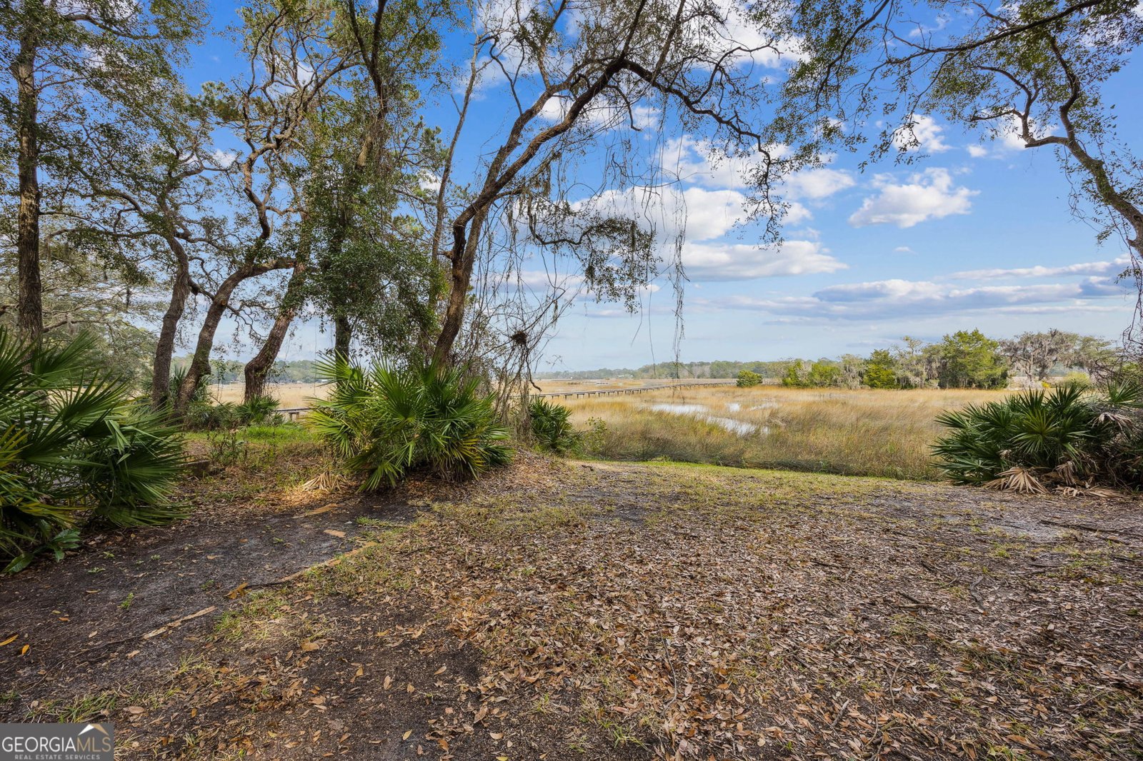 205 Salt Grass Trace St. Marys - Photo 46