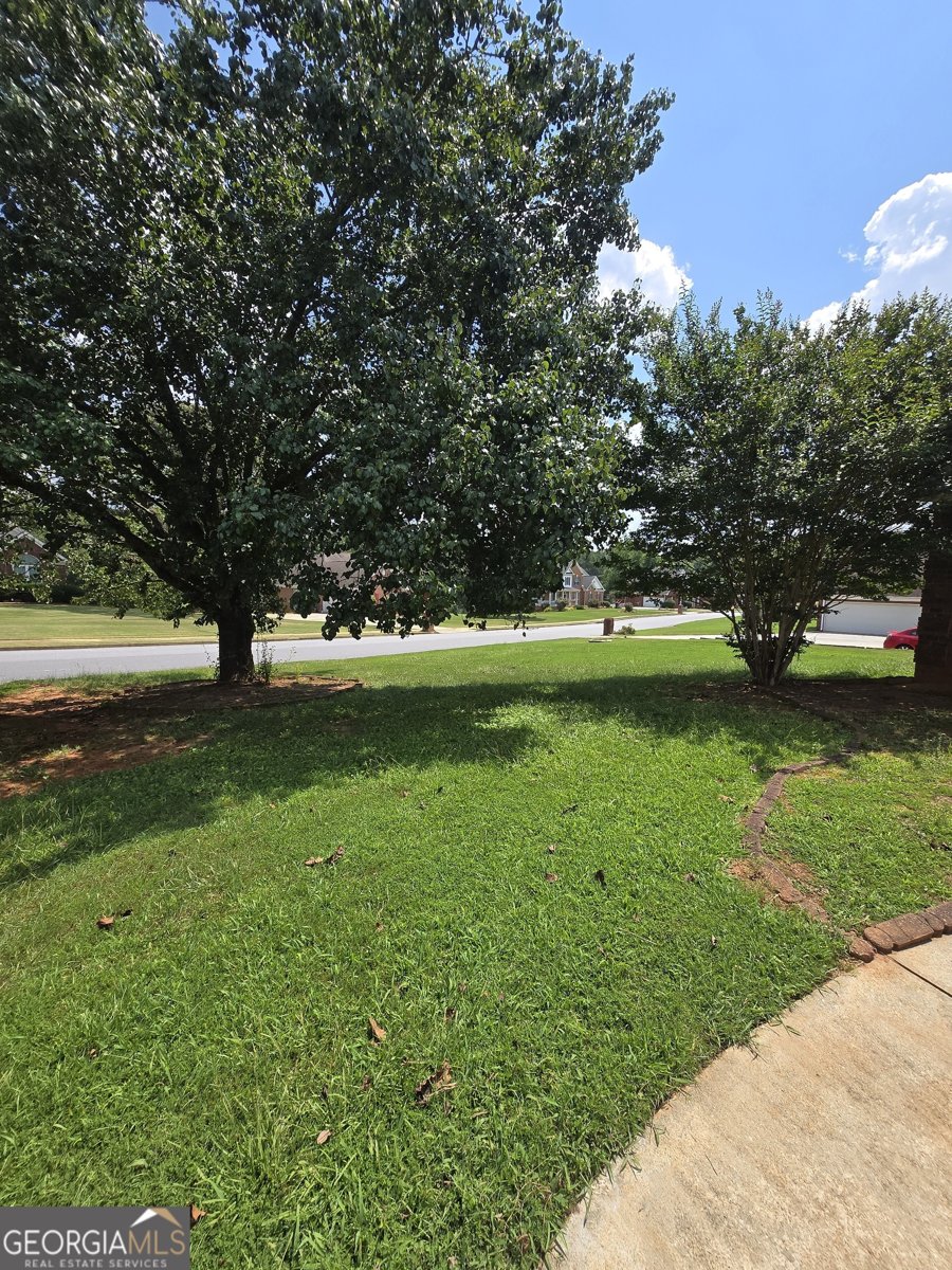 201 Thorn Berry Way Conyers - Photo 9