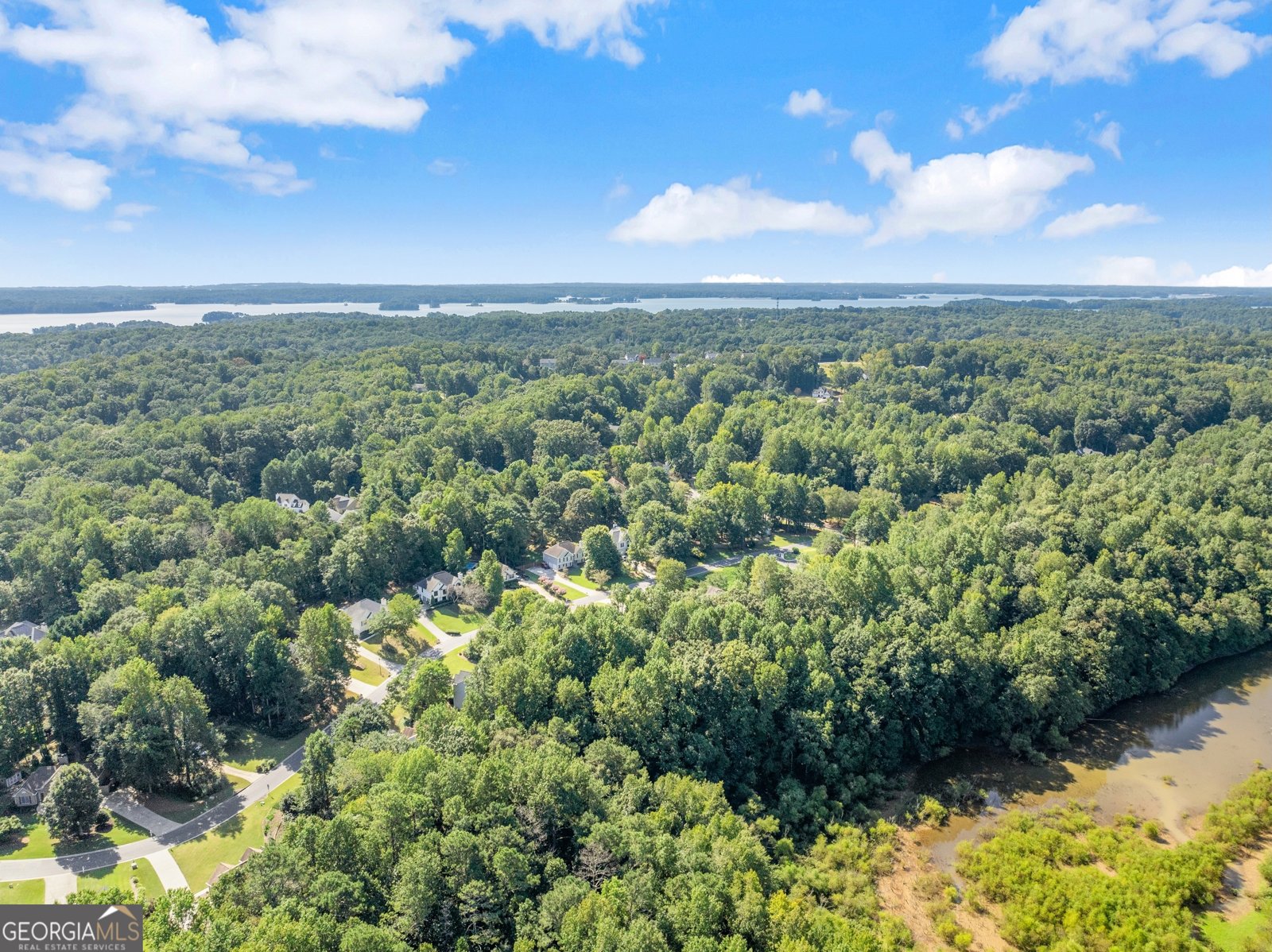 9380 Eagles Landing Drive Gainesville - Photo 58