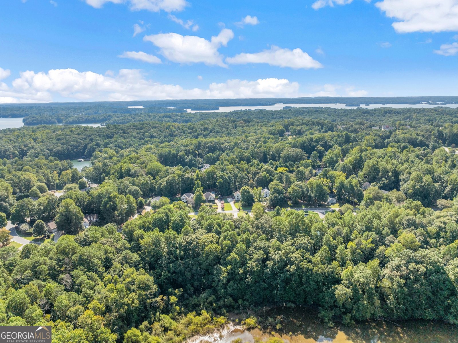 9380 Eagles Landing Drive Gainesville - Photo 59