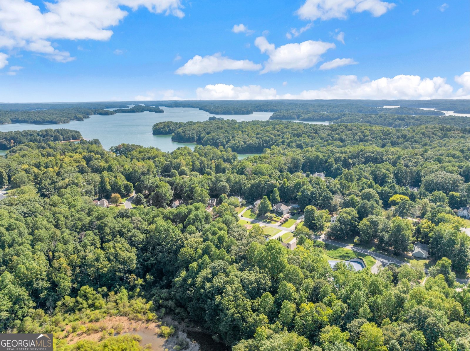 9380 Eagles Landing Drive Gainesville - Photo 60