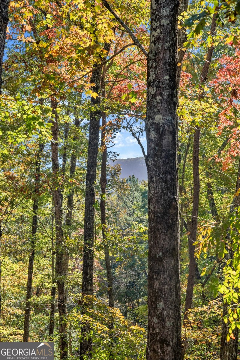 825 Sautee Woods Trail Sautee Nacoochee - Photo 41