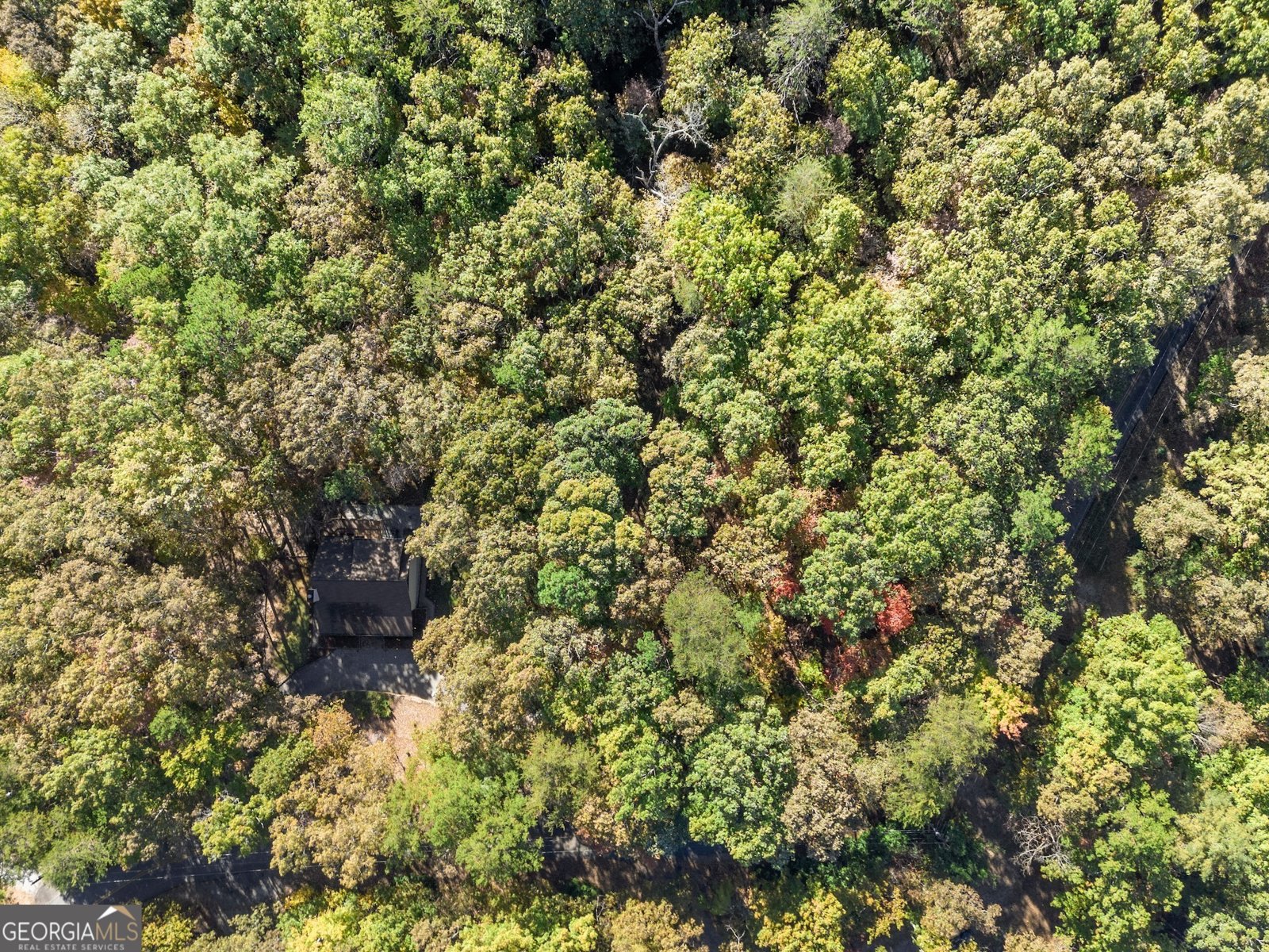 825 Sautee Woods Trail Sautee Nacoochee - Photo 48