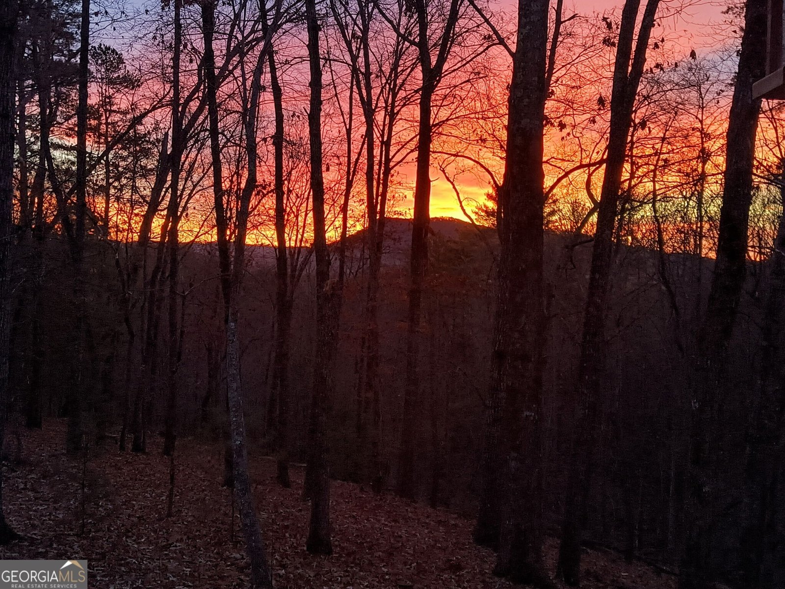 825 Sautee Woods Trail Sautee Nacoochee - Photo 55