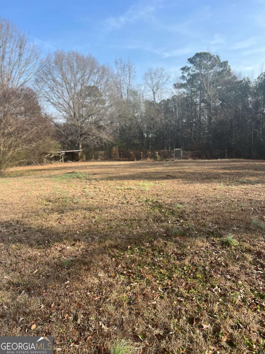 3282 Old Snapping Shoals Road Mcdonough - Photo 20