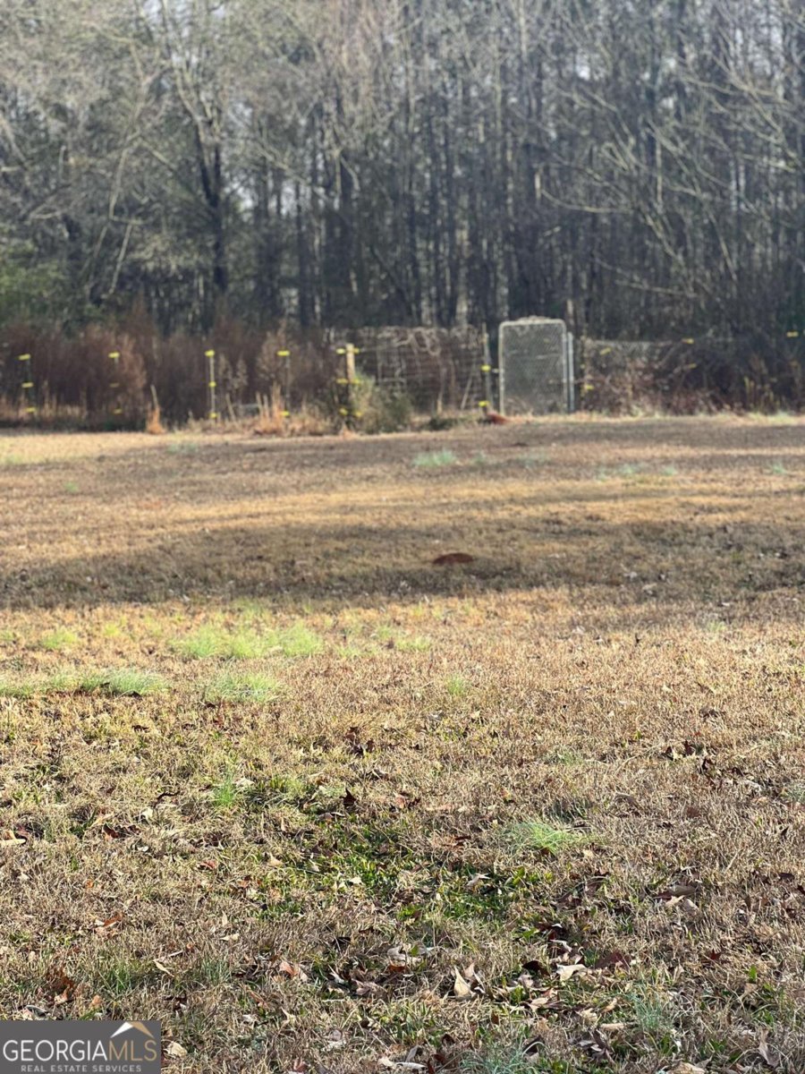 3282 Old Snapping Shoals Road Mcdonough - Photo 21