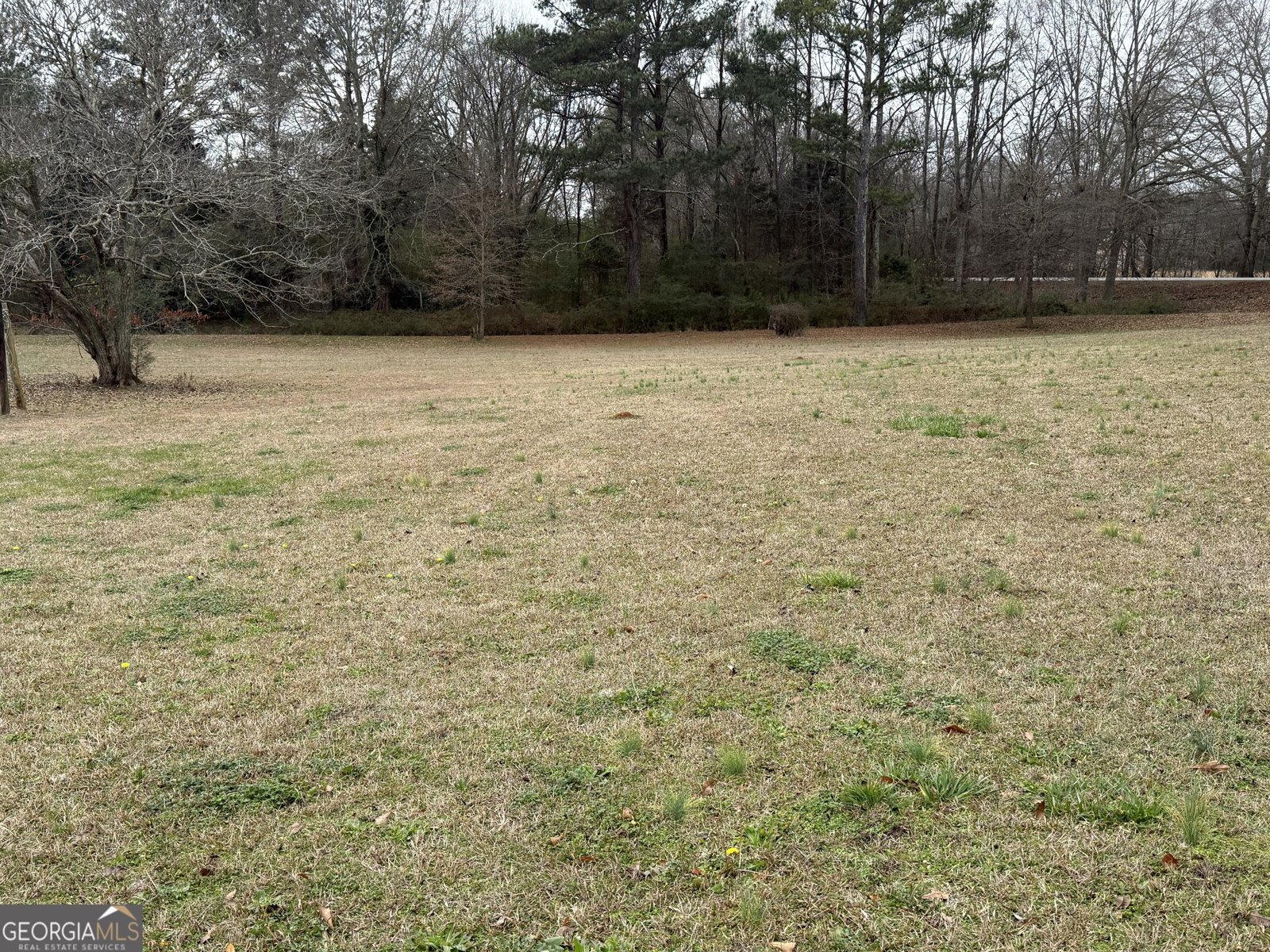 2641 Dixie Road Covington - Photo 11