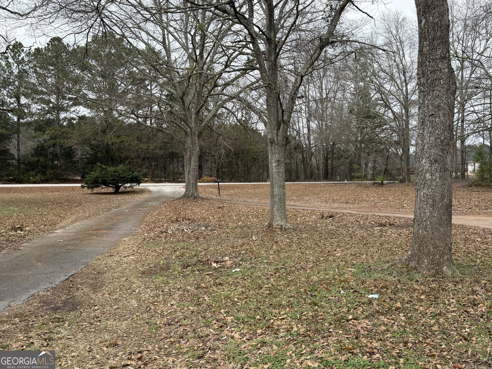 2641 Dixie Road Covington - Photo 12