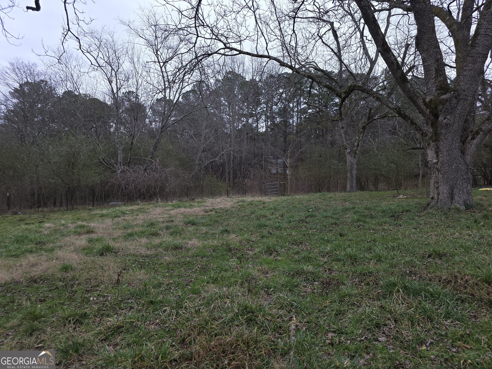 5548 Jacksonville Road Buchanan - Photo 13