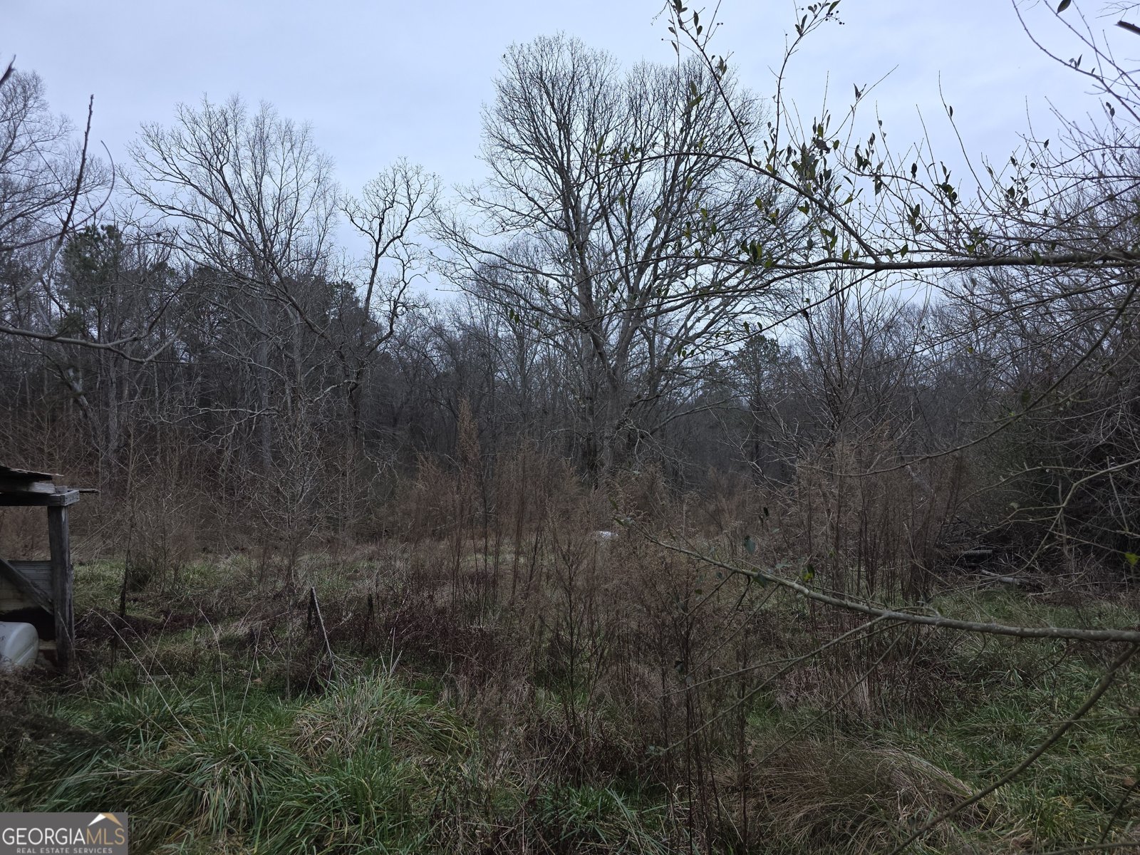 5548 Jacksonville Road Buchanan - Photo 14