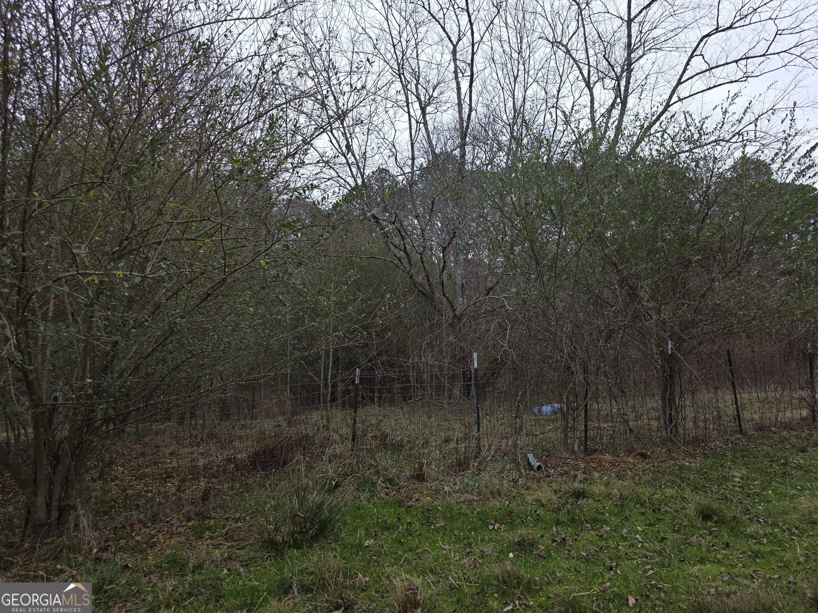 5548 Jacksonville Road Buchanan - Photo 19