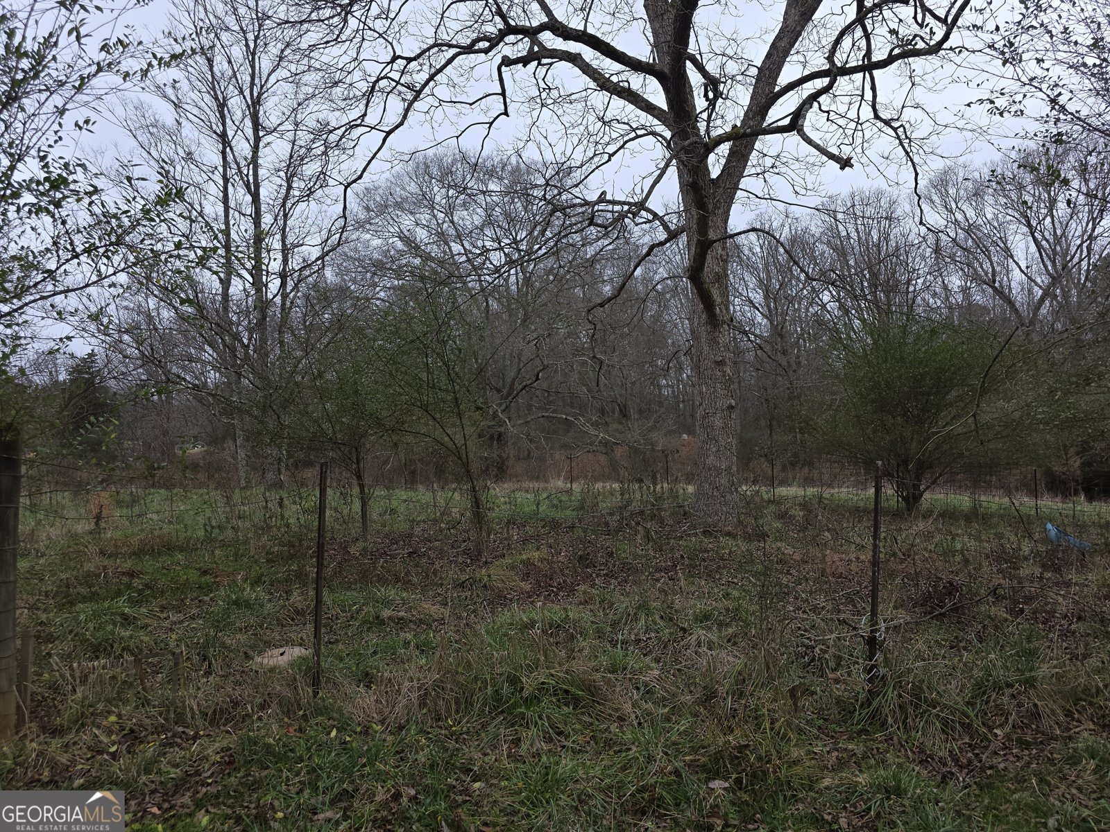 5548 Jacksonville Road Buchanan - Photo 23