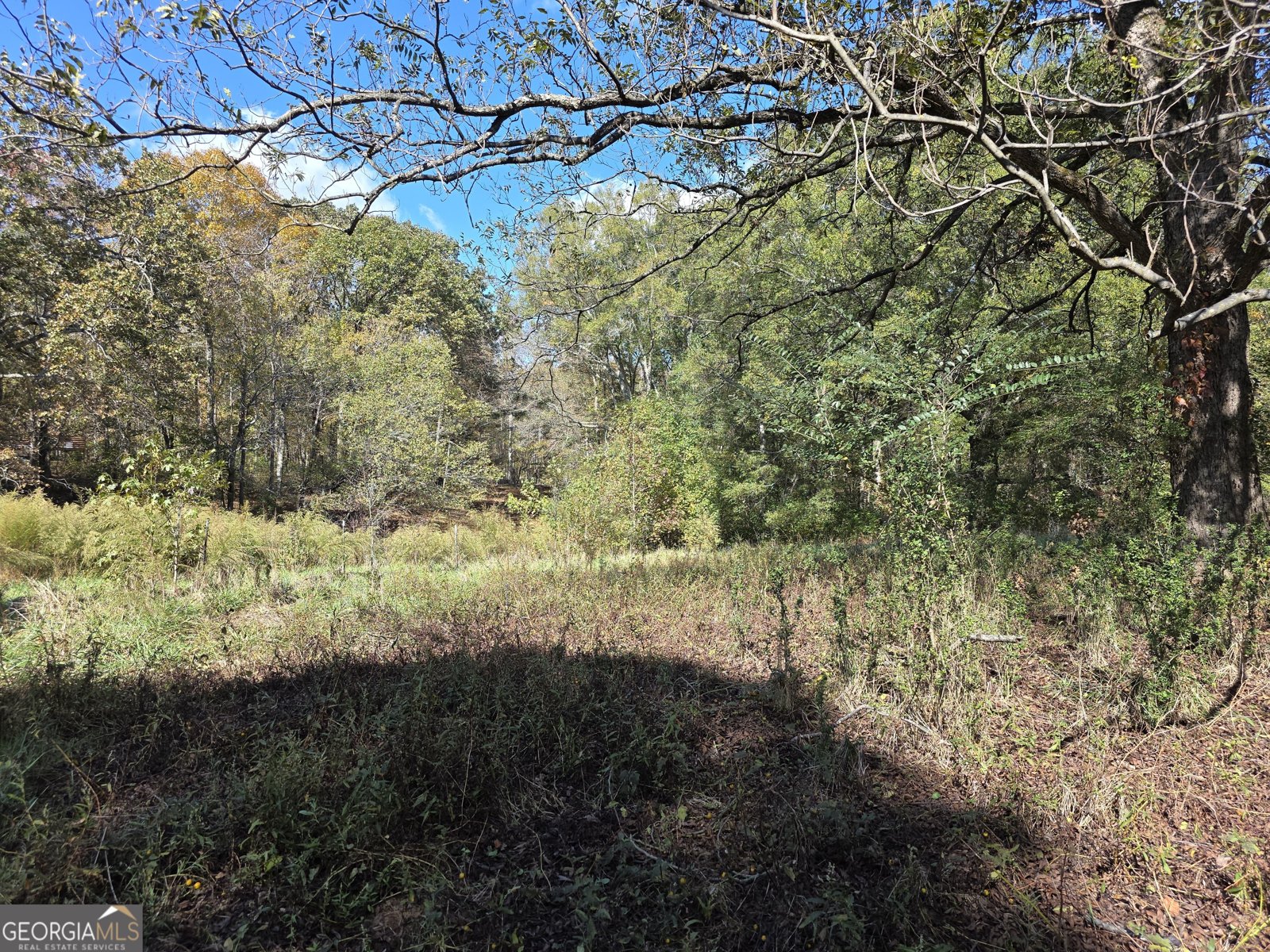 5548 Jacksonville Road Buchanan - Photo 27