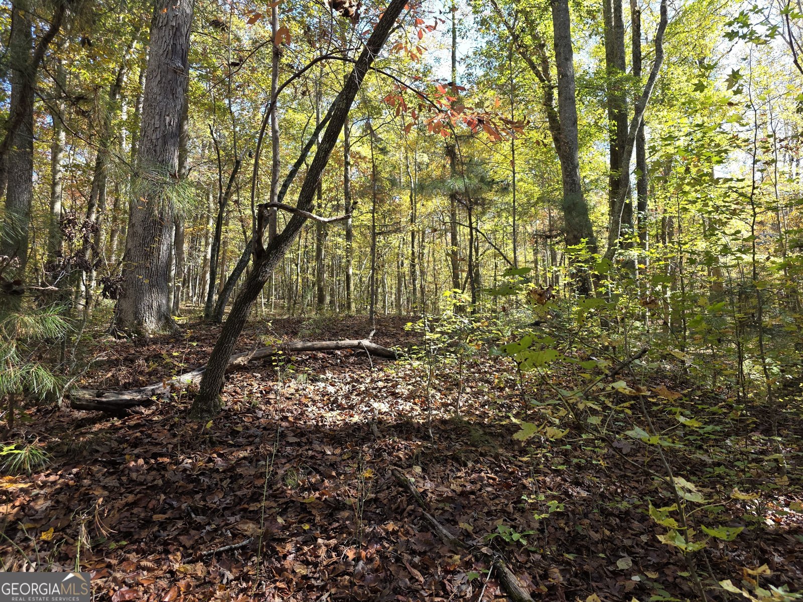 5548 Jacksonville Road Buchanan - Photo 28