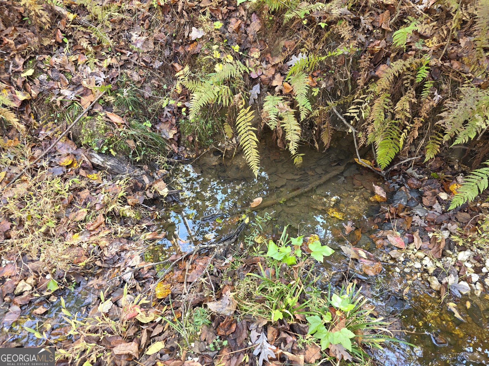 5548 Jacksonville Road Buchanan - Photo 29