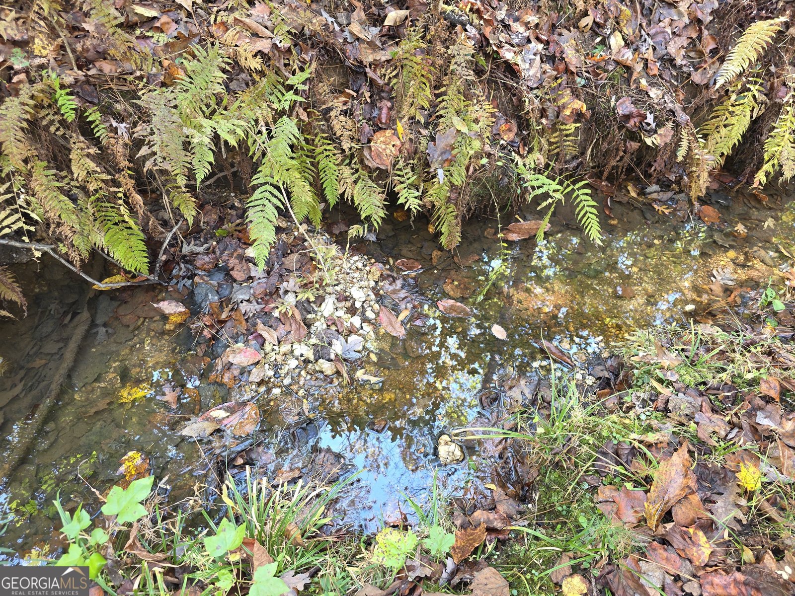 5548 Jacksonville Road Buchanan - Photo 30