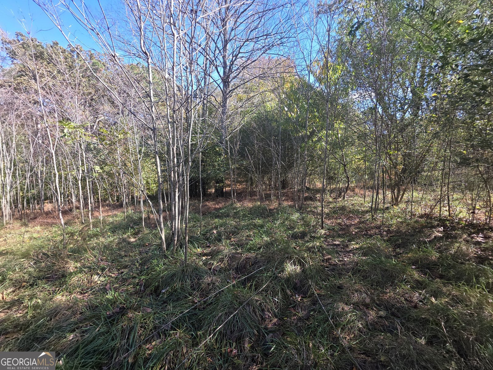 5548 Jacksonville Road Buchanan - Photo 31