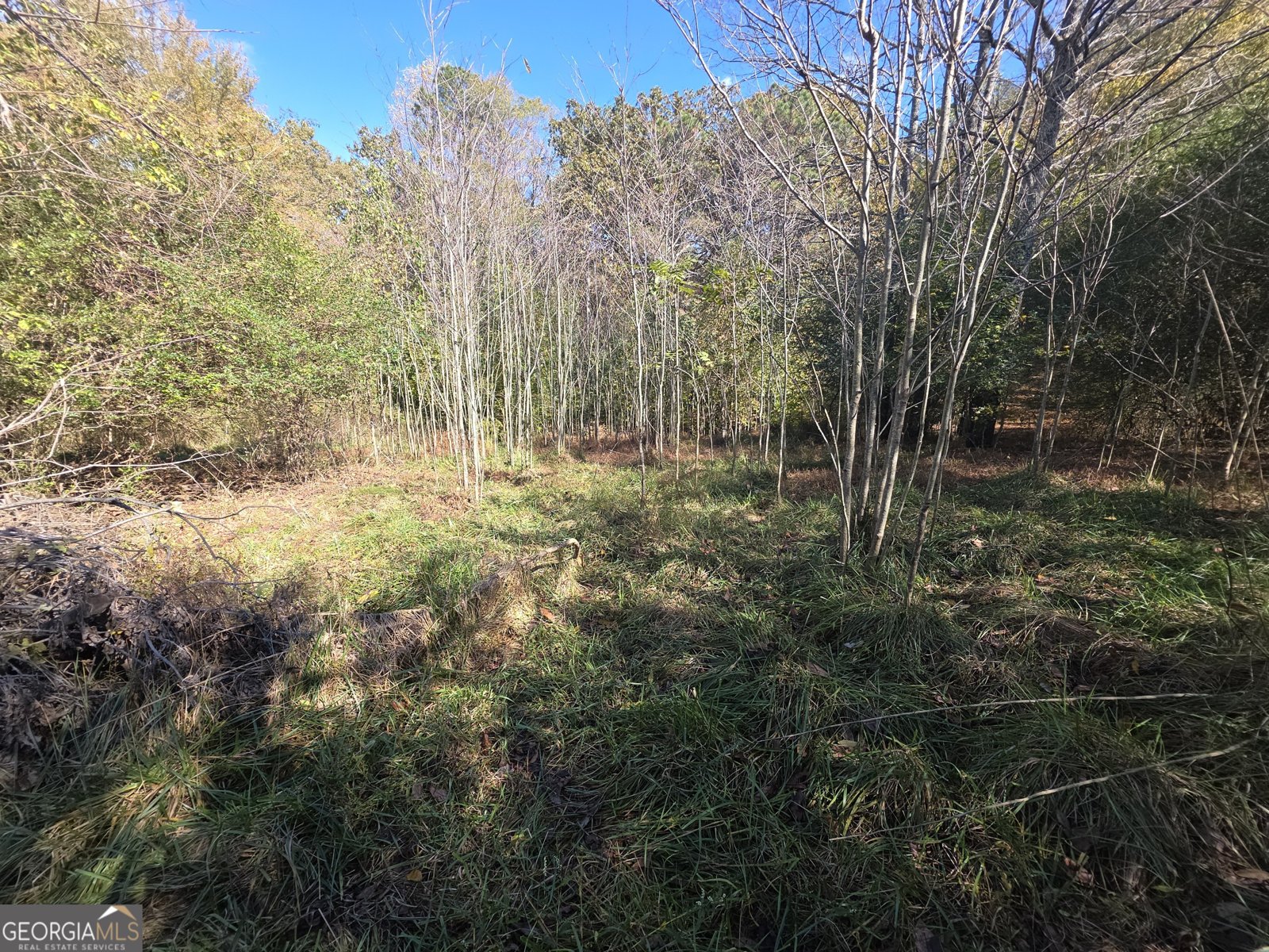 5548 Jacksonville Road Buchanan - Photo 32