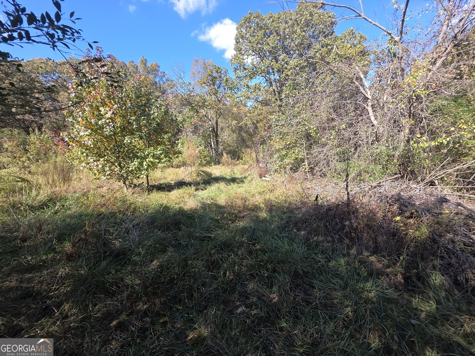 5548 Jacksonville Road Buchanan - Photo 33