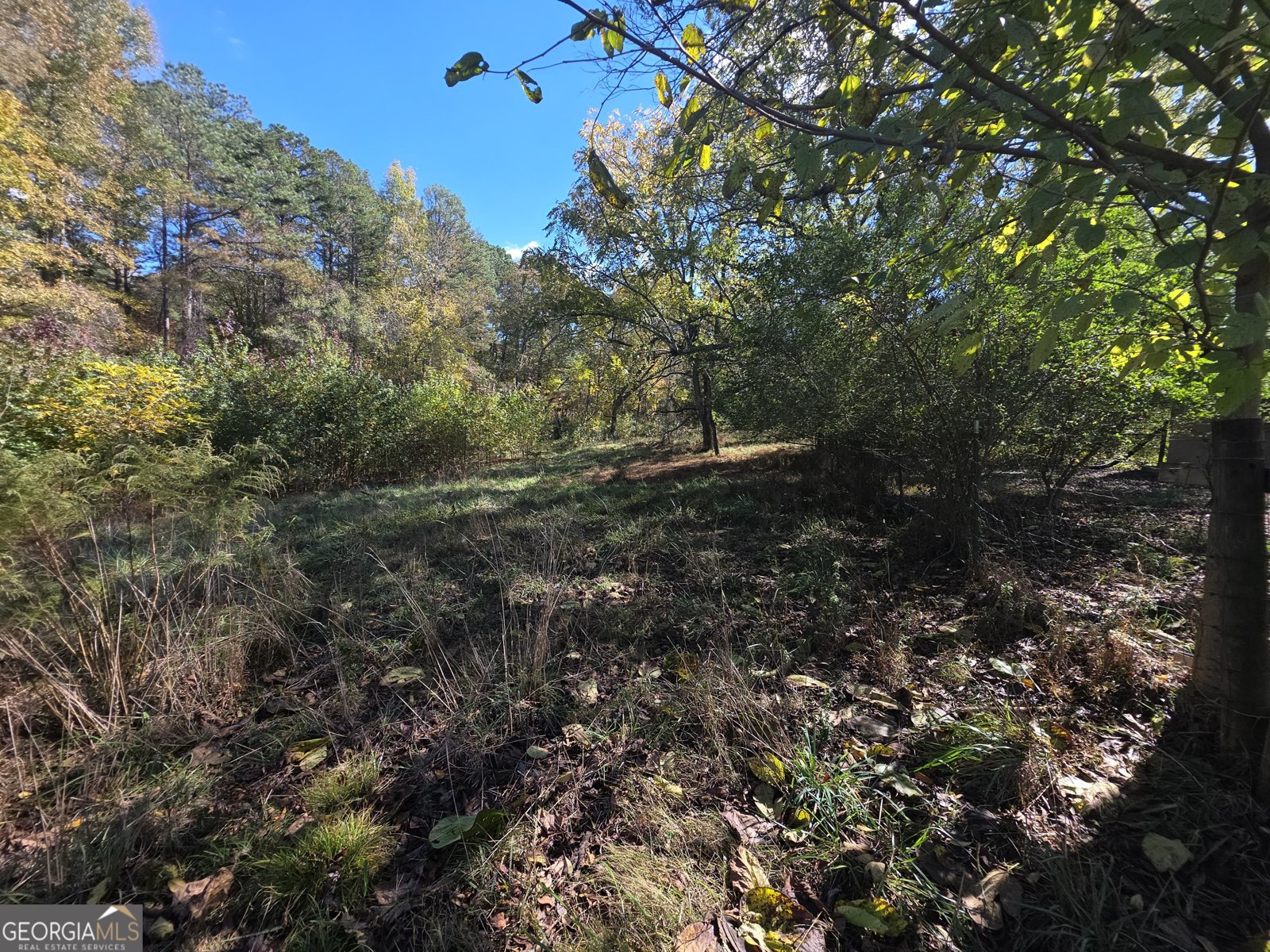 5548 Jacksonville Road Buchanan - Photo 35