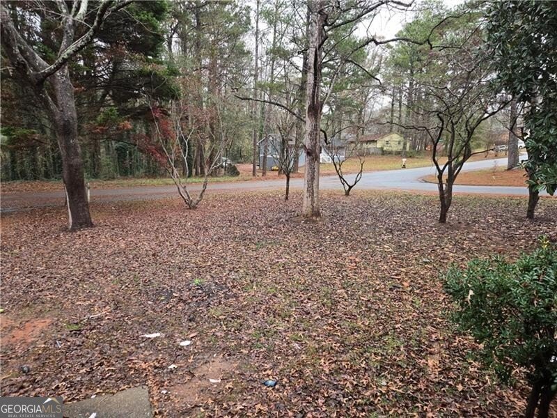 4541 Mercer Road Stone Mountain - Photo 31