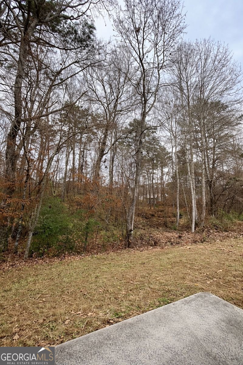 6135 Stone Creek Lane Rex - Photo 21