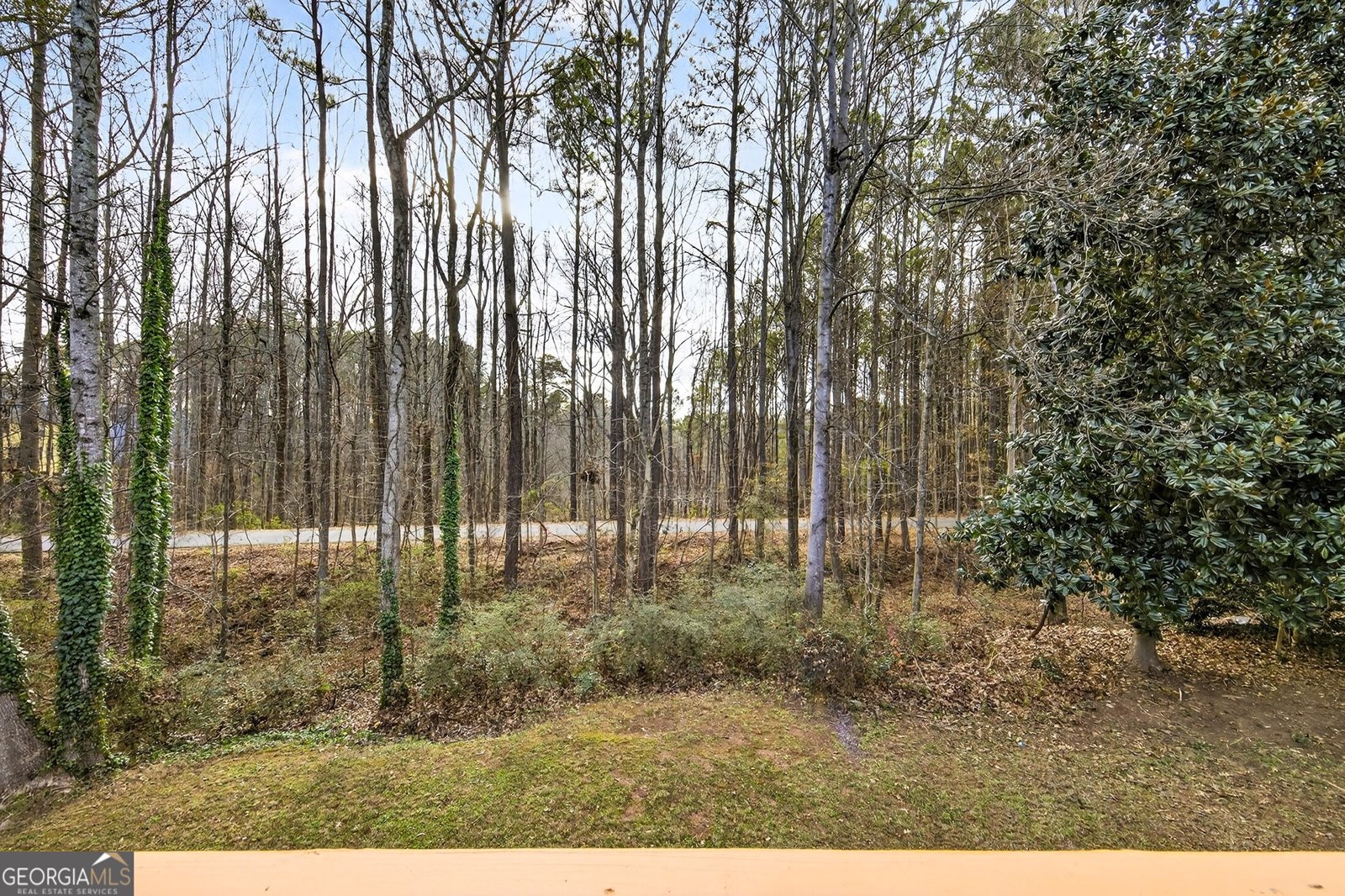 4420 Pink Rose Court Austell - Photo 51