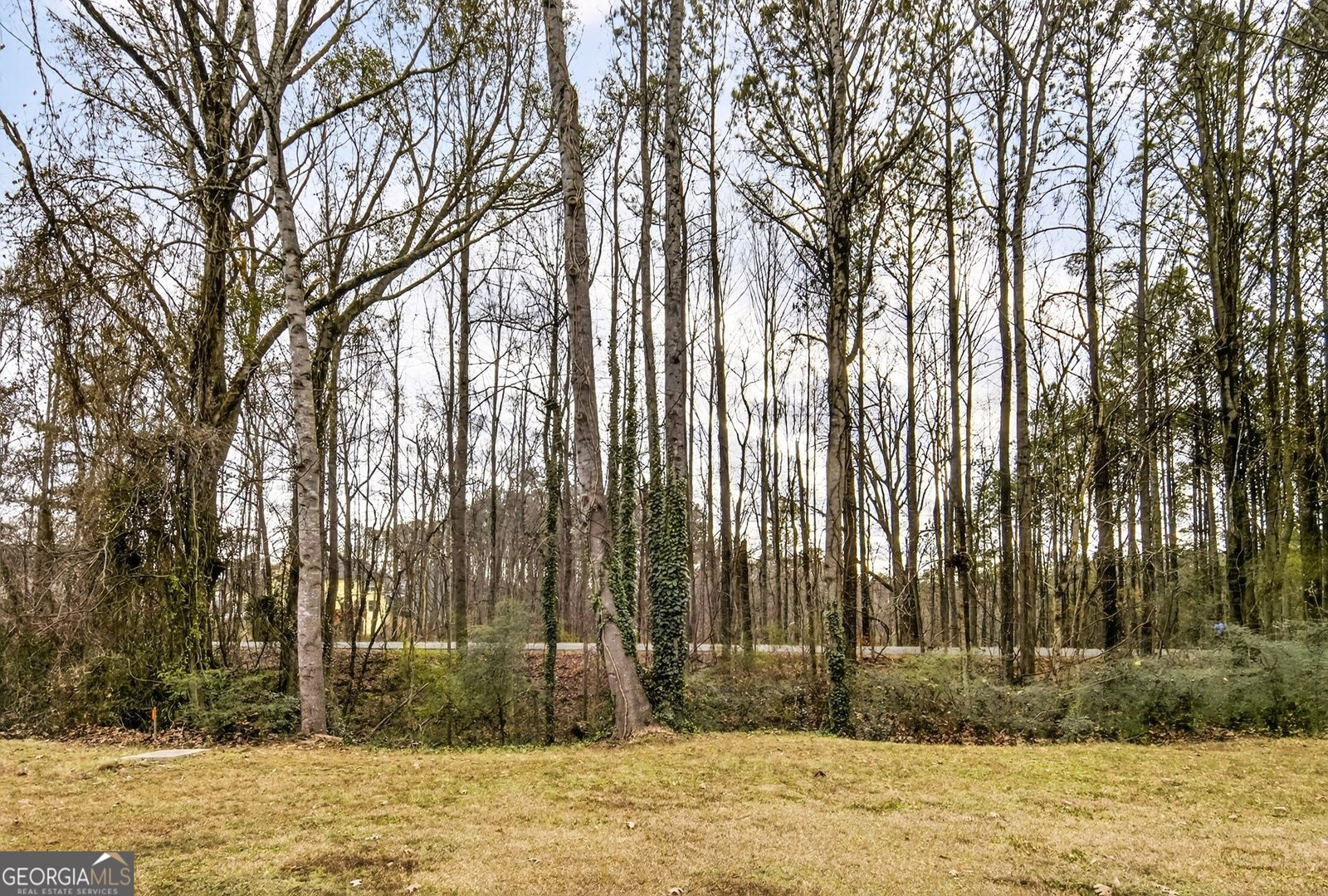 4420 Pink Rose Court Austell - Photo 52