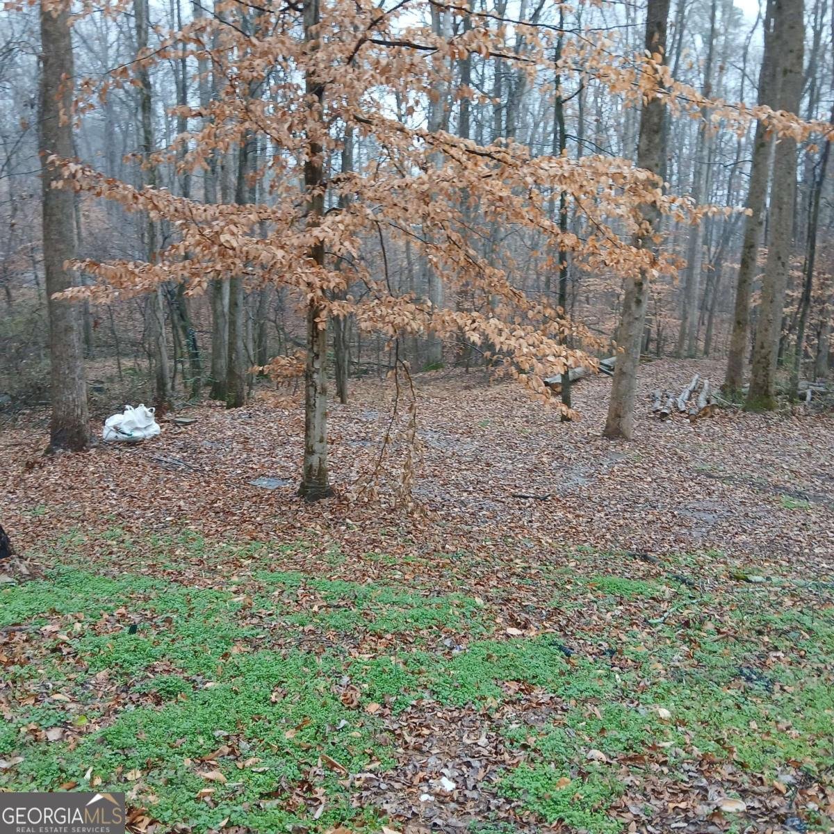 278 Evans Cook Road Canton - Photo 10