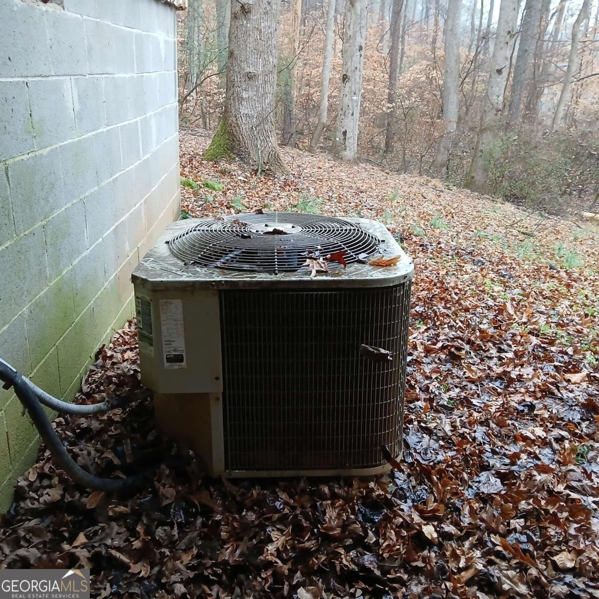 278 Evans Cook Road Canton - Photo 12