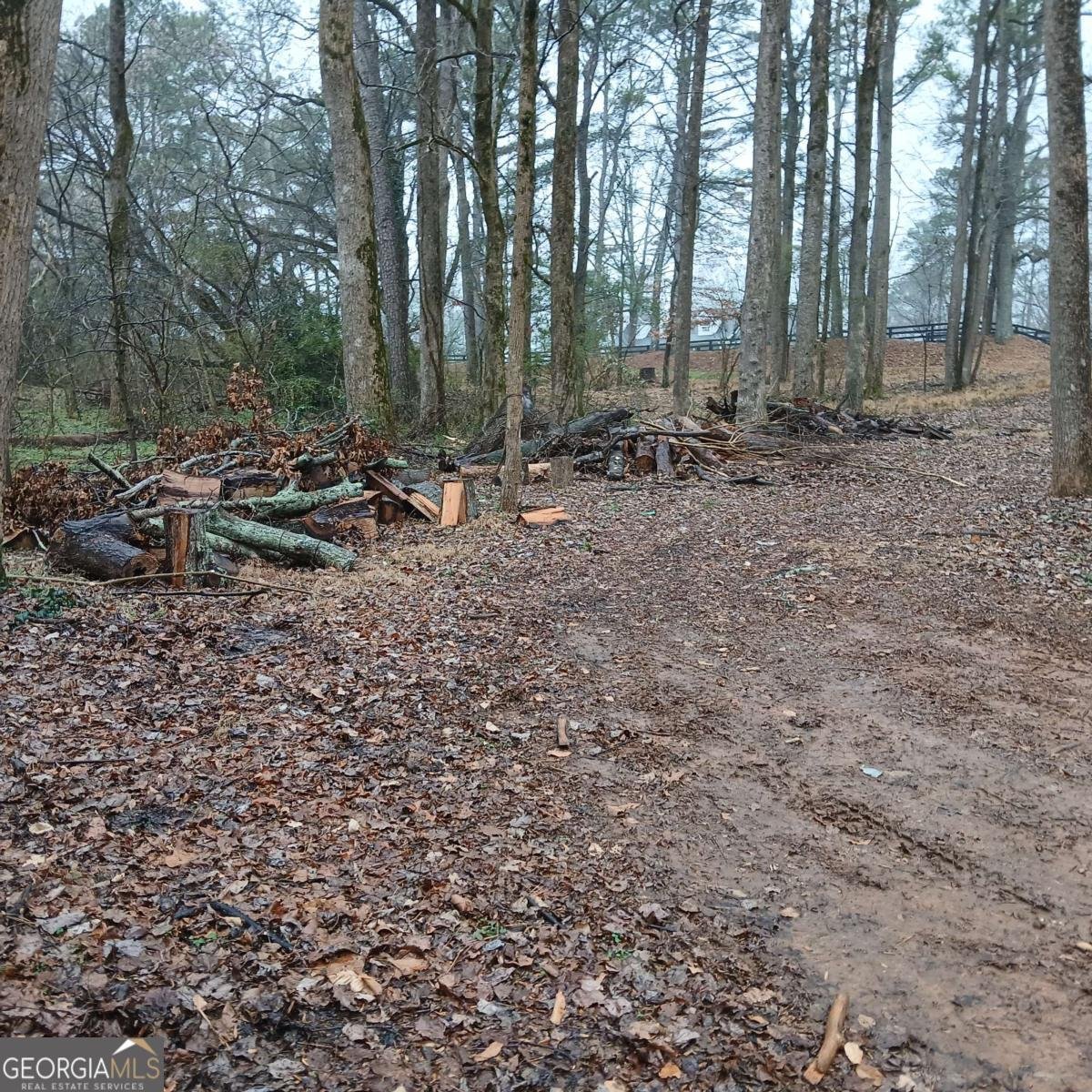 278 Evans Cook Road Canton - Photo 8