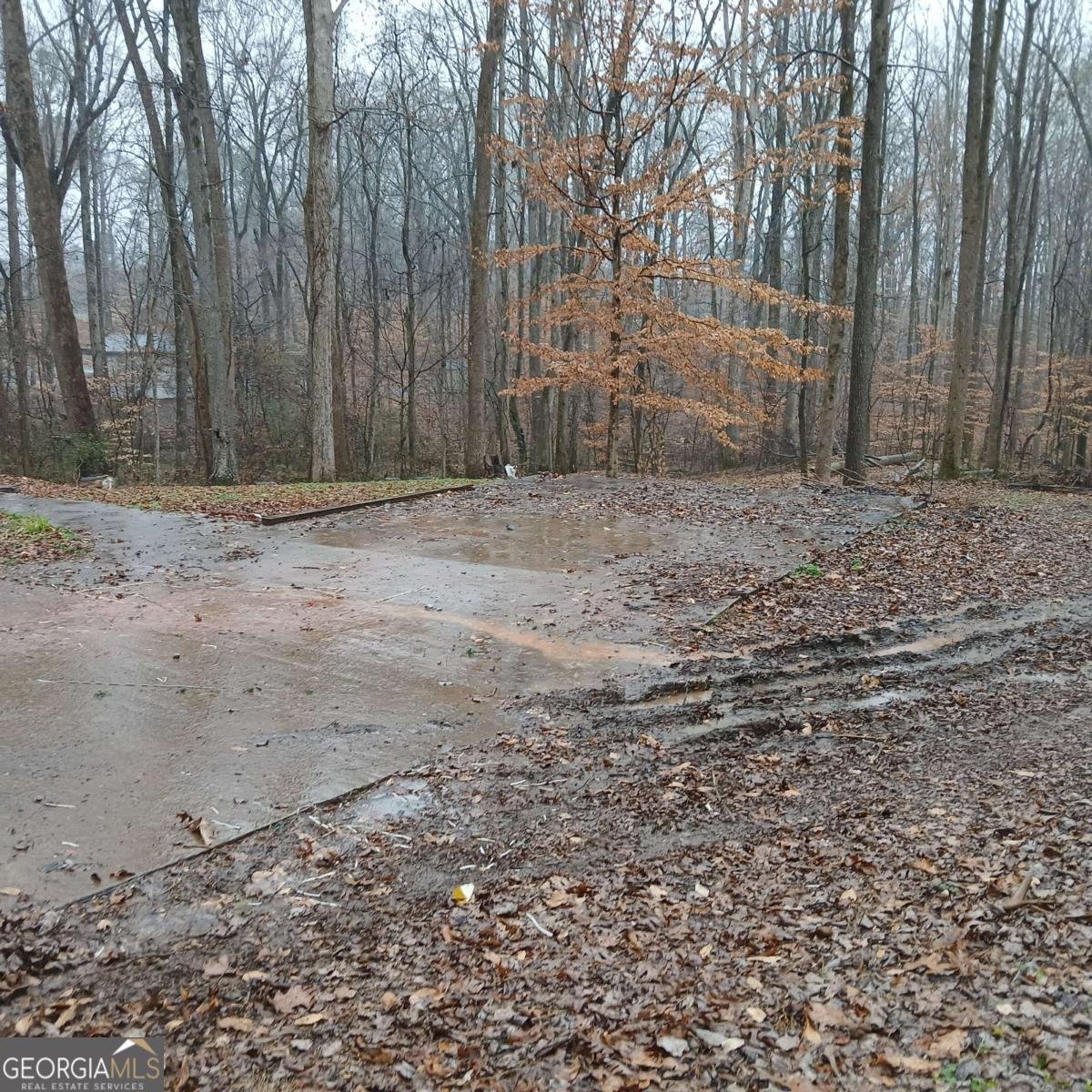 278 Evans Cook Road Canton - Photo 9