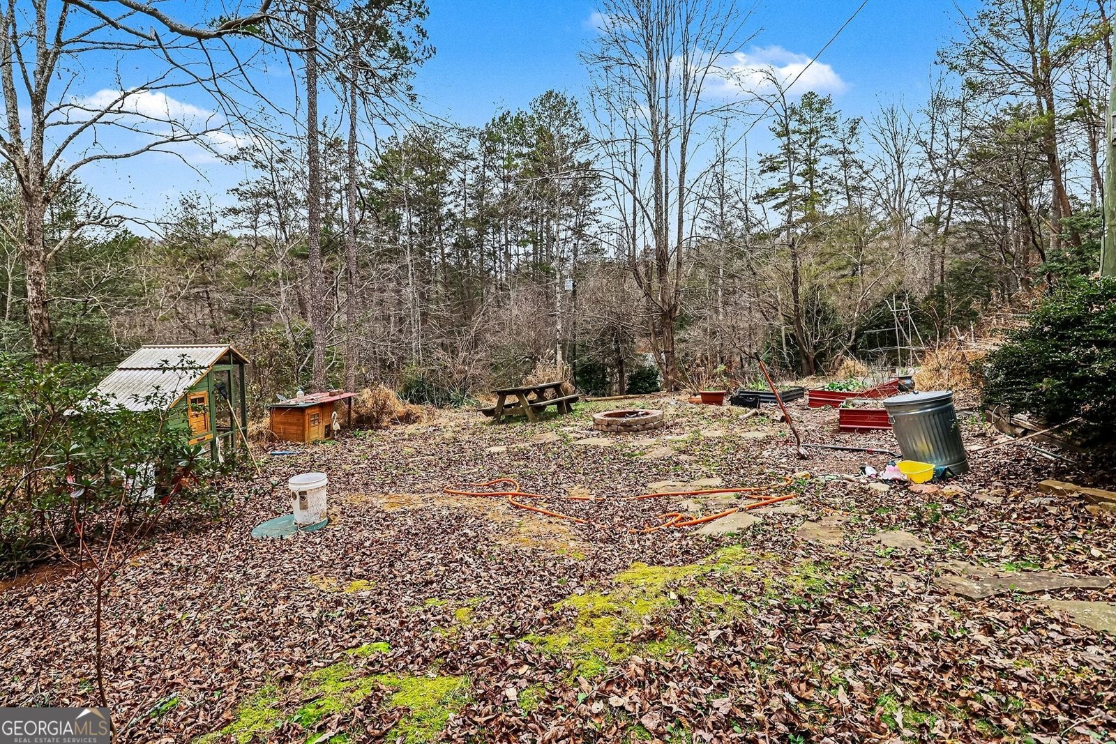95 Holly Lane Dahlonega - Photo 30