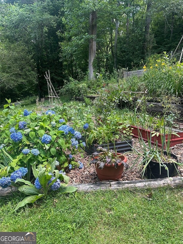 95 Holly Lane Dahlonega - Photo 43