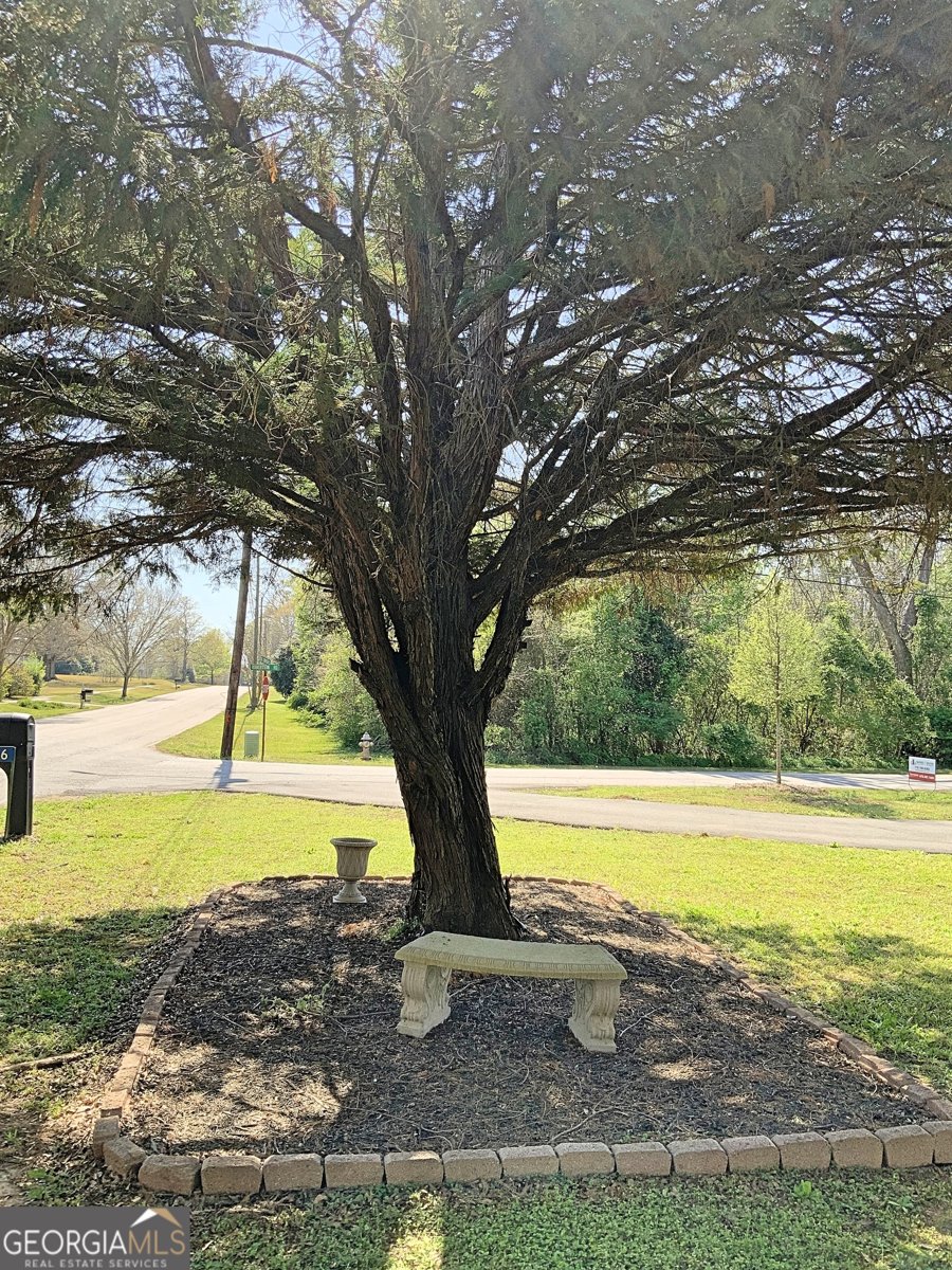 206 Johnson Street Newborn - Photo 47