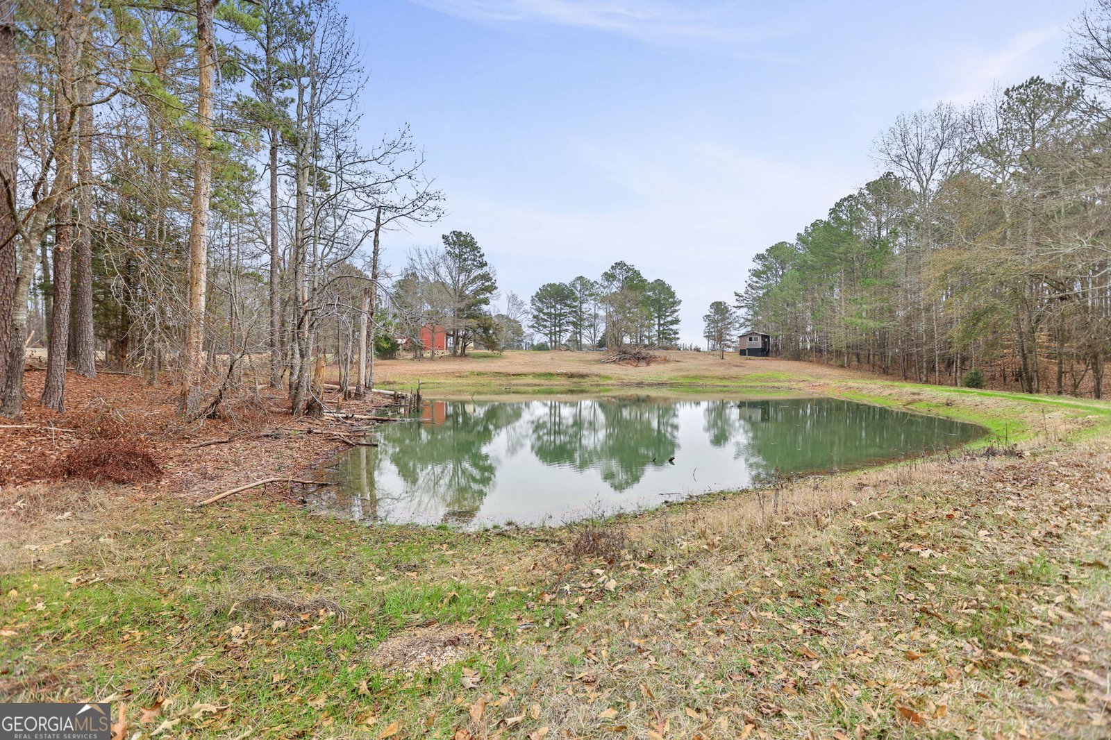 464 County Road 125 Roanoke - Photo 55