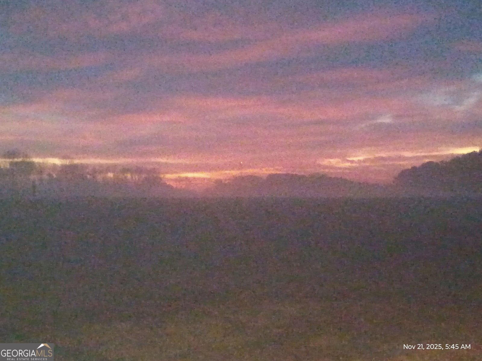 464 County Road 125 Roanoke - Photo 76