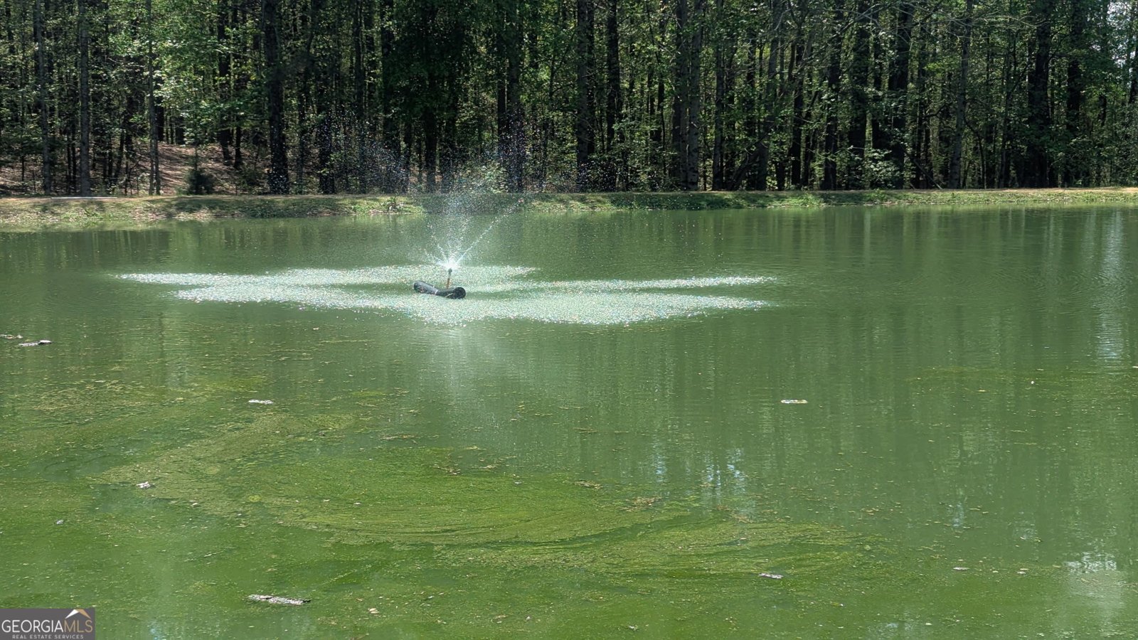 464 County Road 125 Roanoke - Photo 78