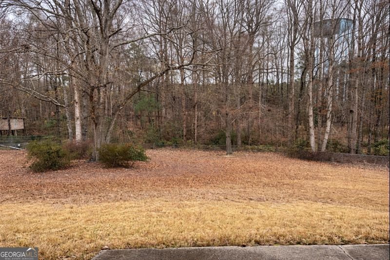 716 WILKES Drive Loganville - Photo 36