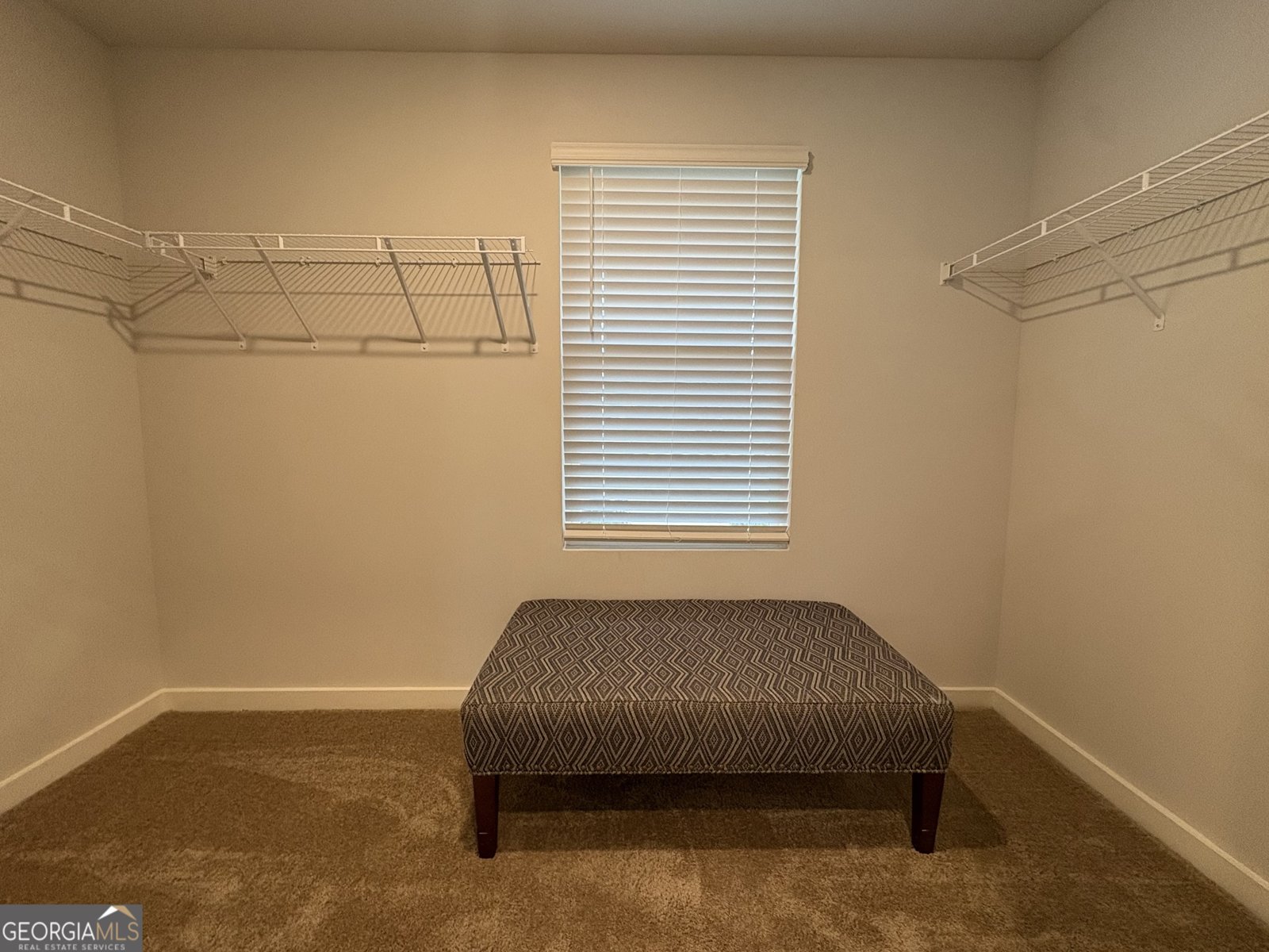 400 Daffodil Lane McDonough - Photo 19