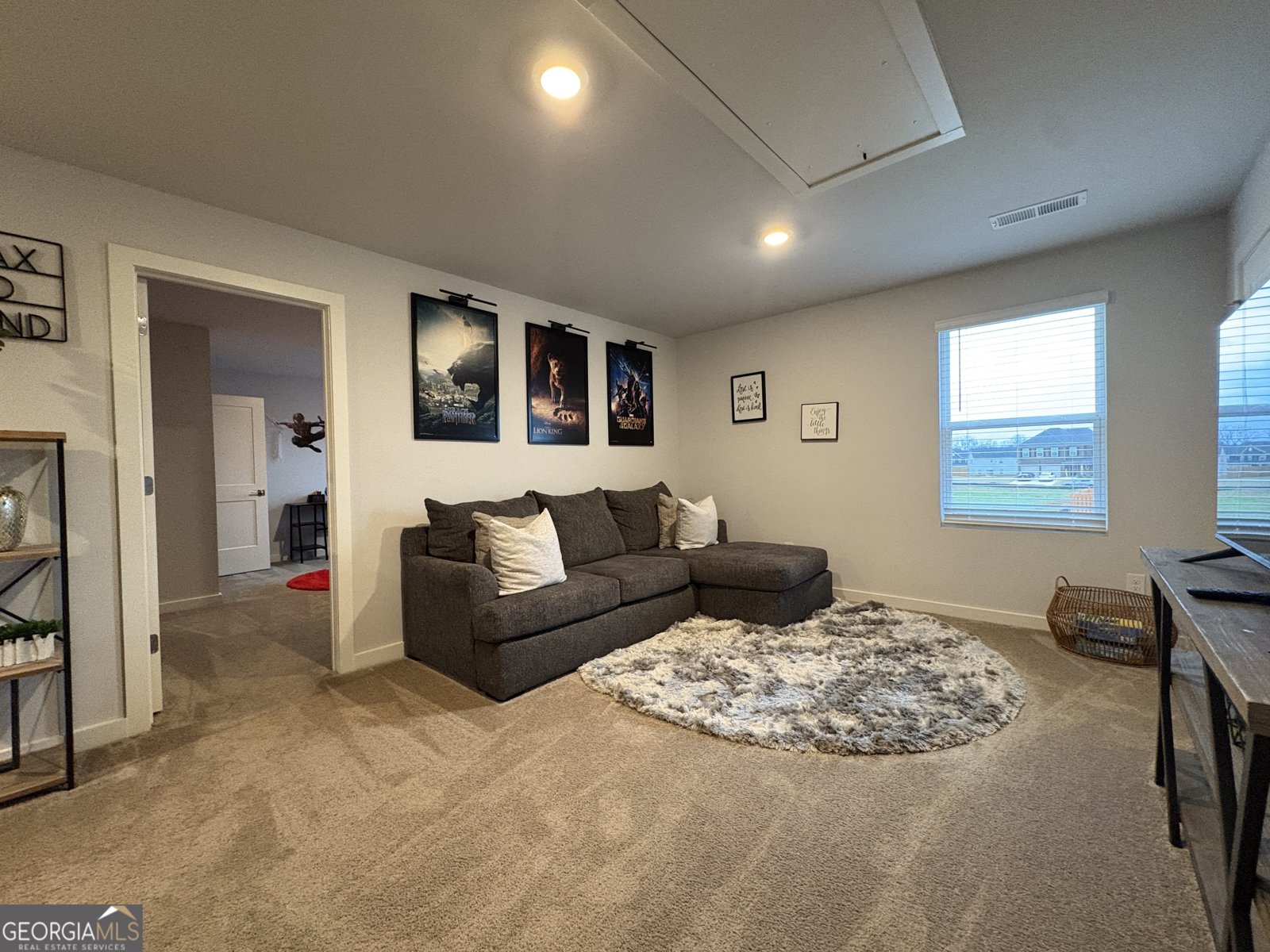 400 Daffodil Lane McDonough - Photo 37