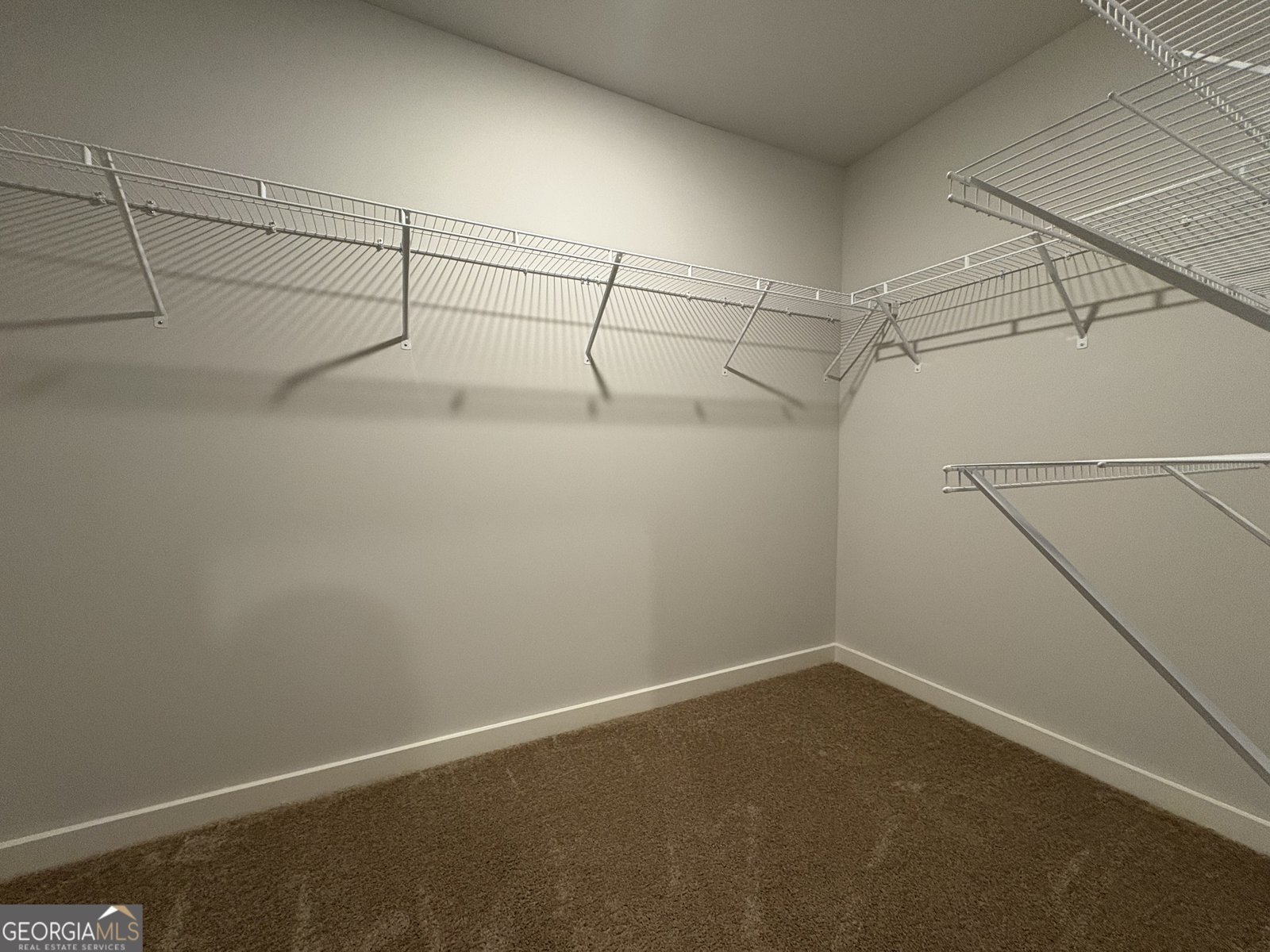 400 Daffodil Lane McDonough - Photo 44