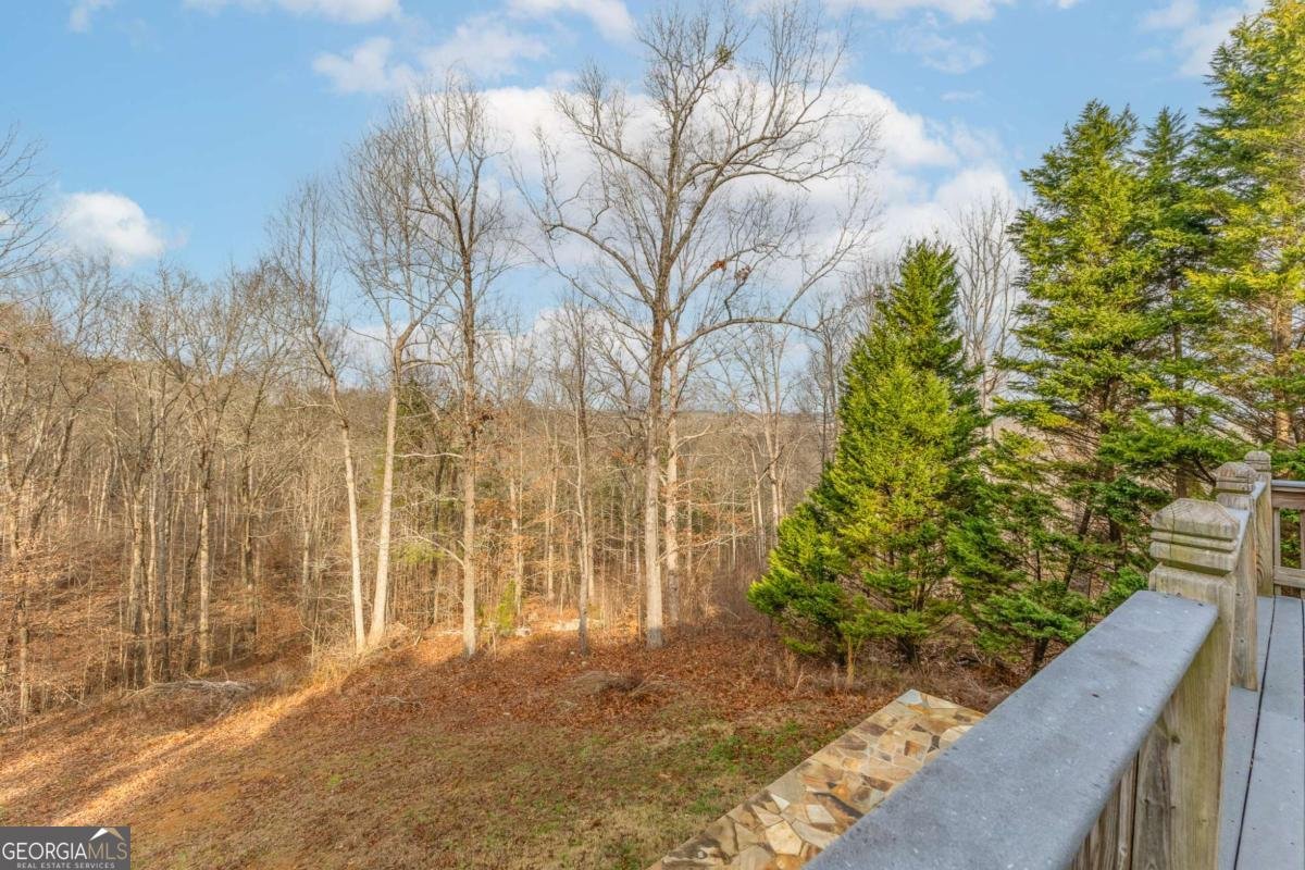 8805 Saddle Trail Ball Ground - Photo 21