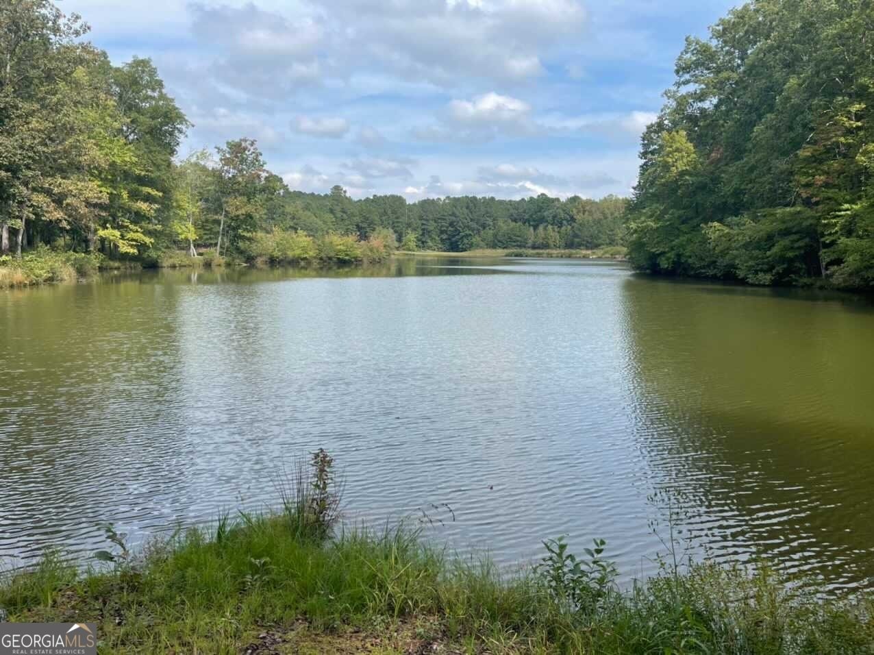 407 Saint Regis Drive Oxford - Photo 68