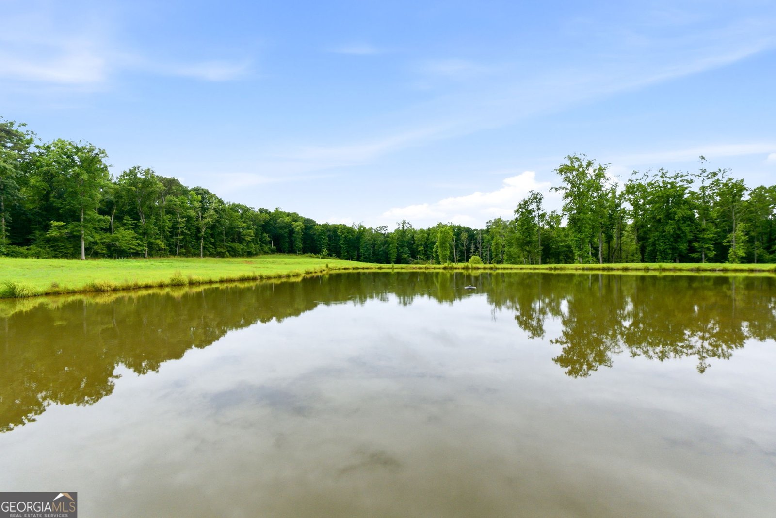 320 Buck Creek Road Griffin - Photo 85