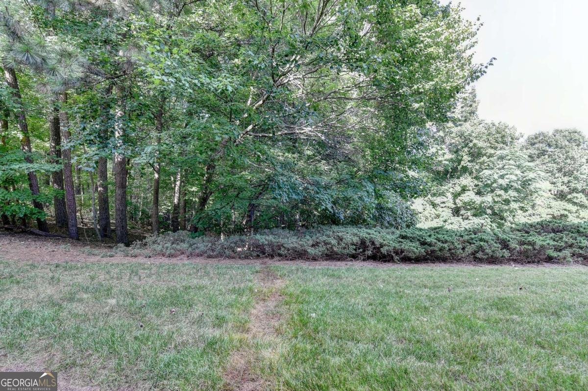 3105 Delachaise Way Norcross - Photo 54