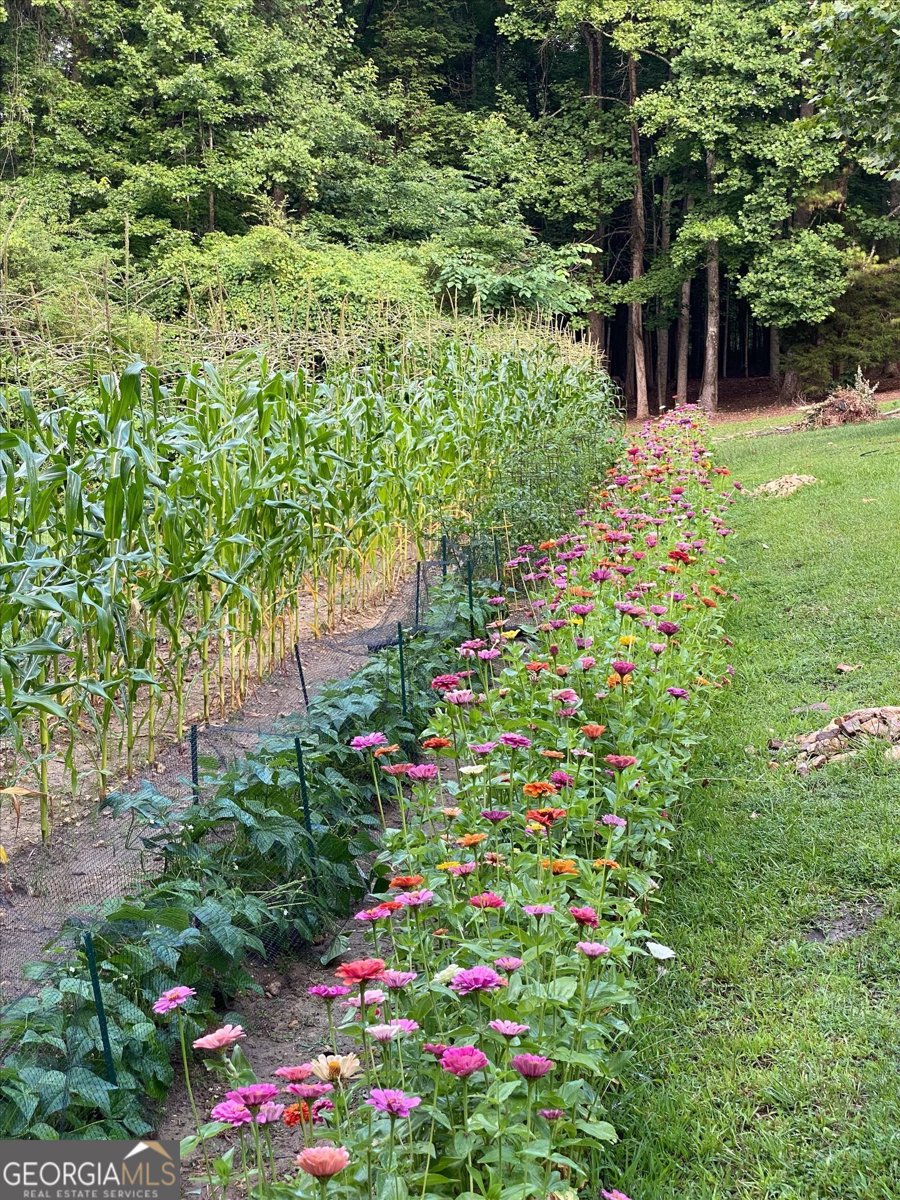 912 Folds Road Carrollton - Photo 46